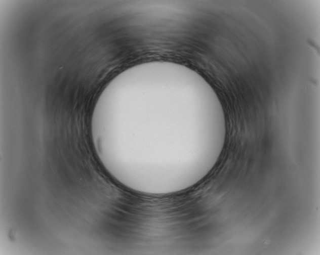 X0000095550276200801111500