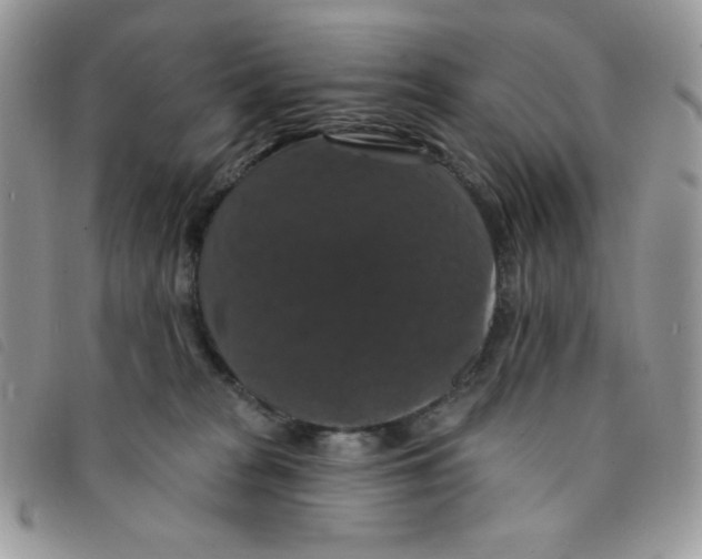 X0000095550277200801111500