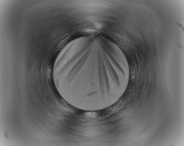 X0000095550279200801111500