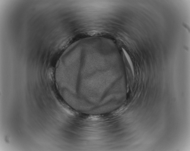 X0000095550280200801111500