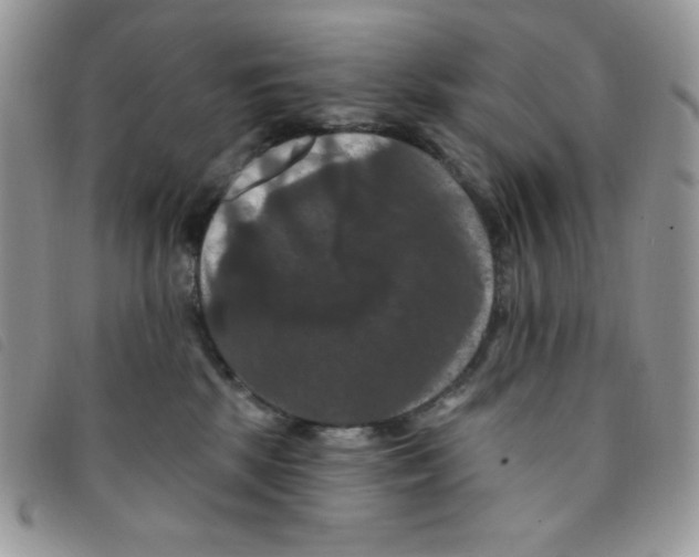 X0000095550281200801111500