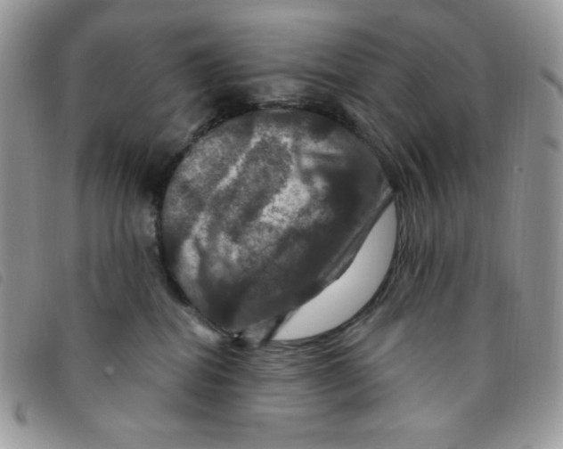 X0000095550282200801111500