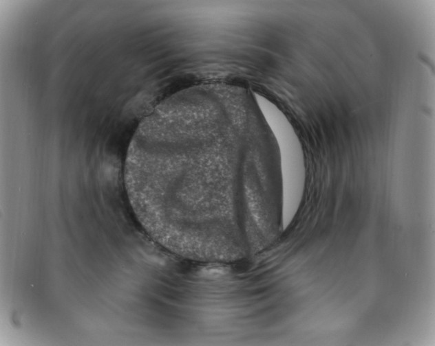 X0000095550283200801111500