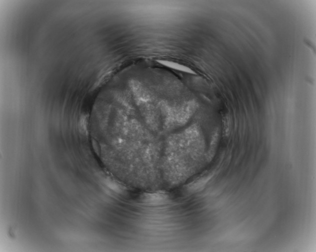 X0000095550286200801111500