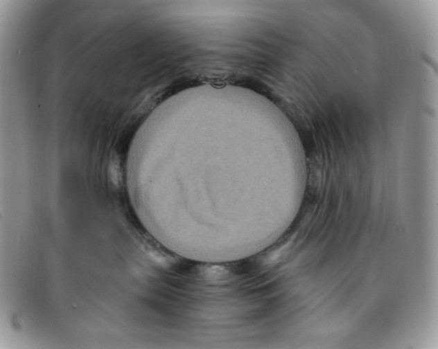 X0000095550287200801111500