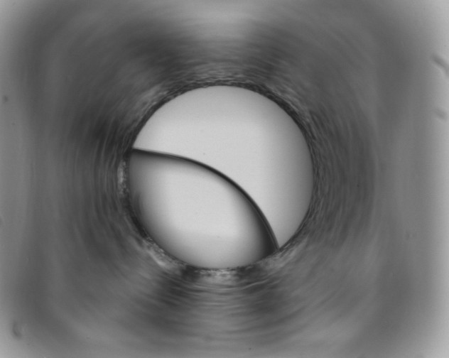 X0000095550288200801111500