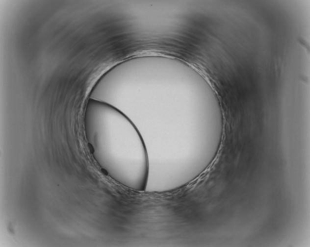 X0000095550289200801111500