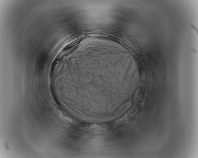 X0000095550290200801111500