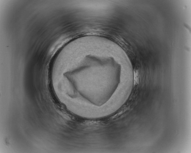 X0000095550291200801111500