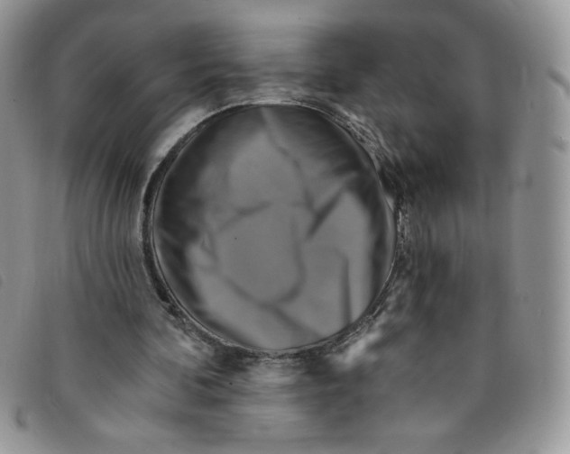 X0000095550292200801111500