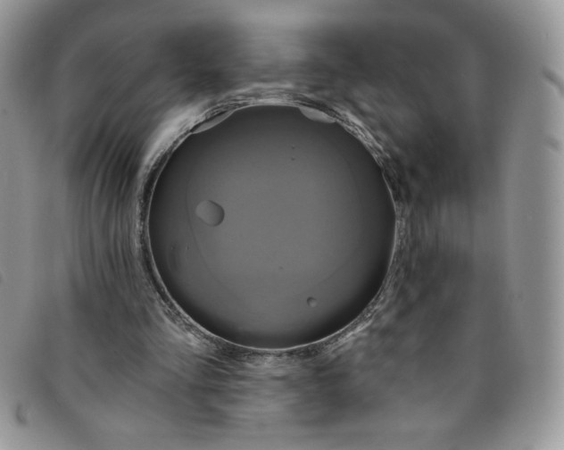 X0000095550293200801111500