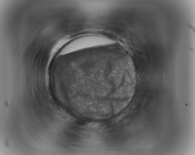 X0000095550294200801111500