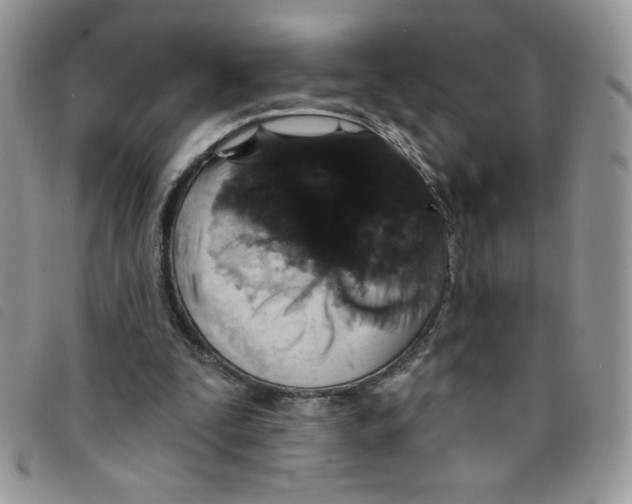 X0000095550295200801111500