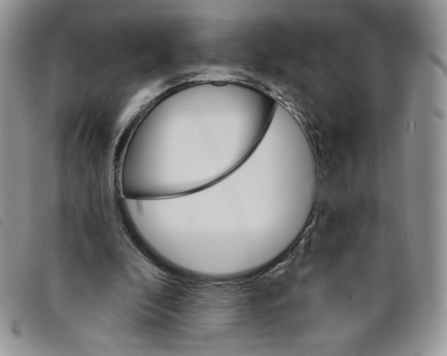 X0000095550296200801111500