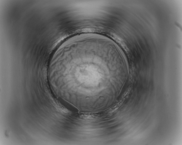 X0000095550297200801111500