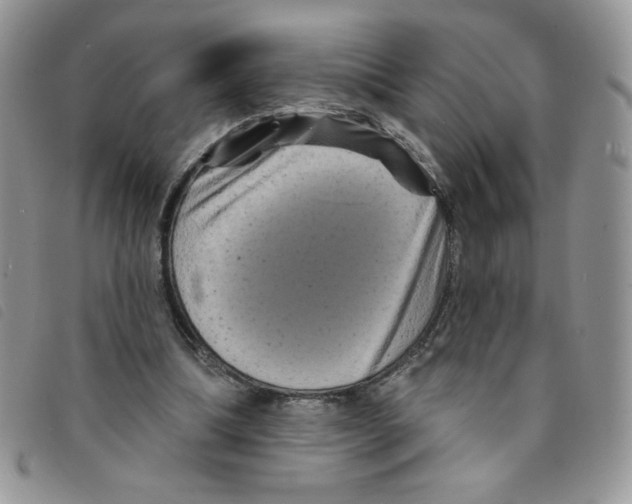 X0000095550298200801111459