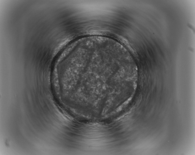 X0000095550299200801111459