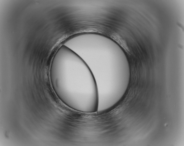 X0000095550300200801111459