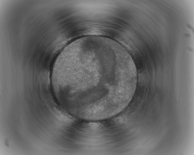 X0000095550302200801111459