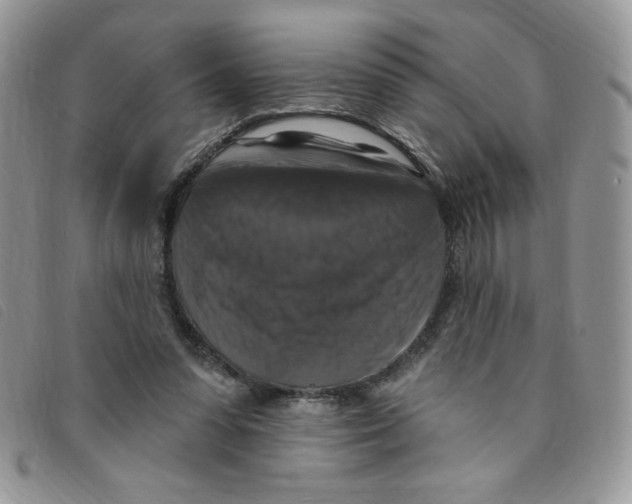 X0000095550303200801111459