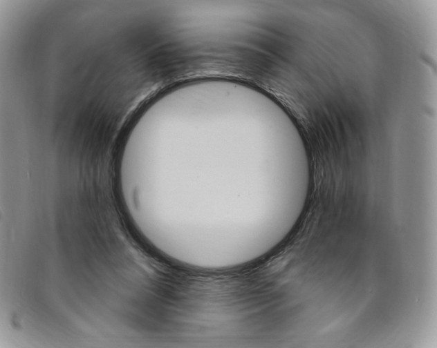 X0000095550304200801111459