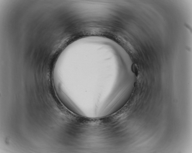 X0000095550306200801111459