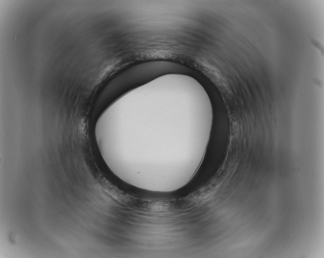 X0000095550308200801111459