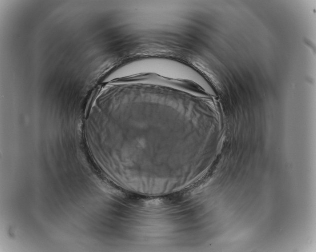 X0000095550309200801111459