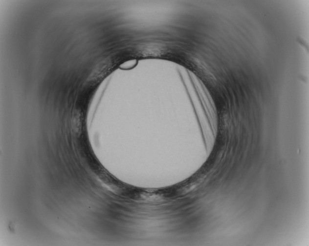 X0000095550311200801111459