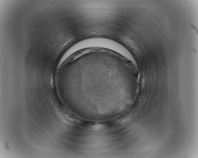 X0000095550312200801111459