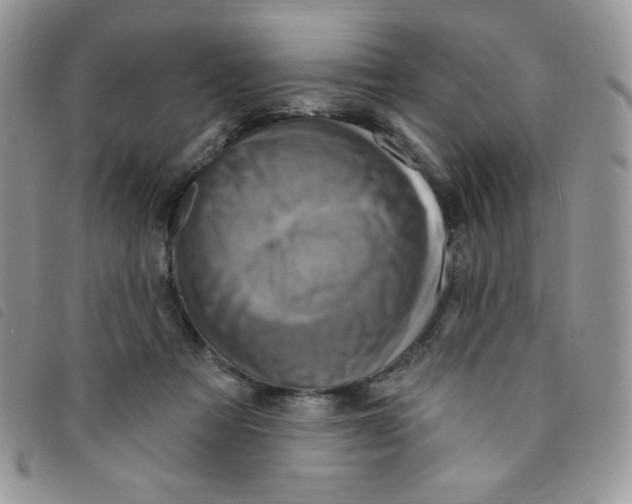 X0000095550313200801111459