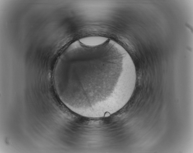 X0000095550314200801111459