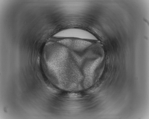 X0000095550315200801111459