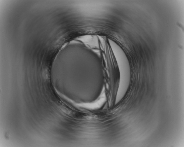 X0000095550317200801111459