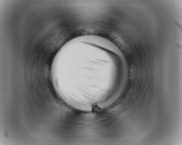 X0000095550318200801111459