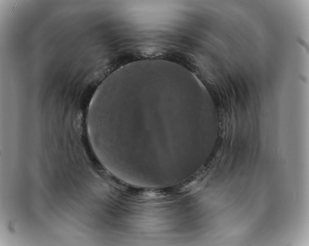 X0000095550319200801111459