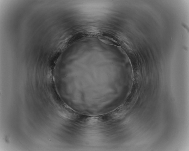 X0000095550320200801111459