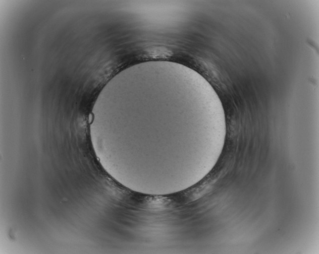 X0000095550321200801111459