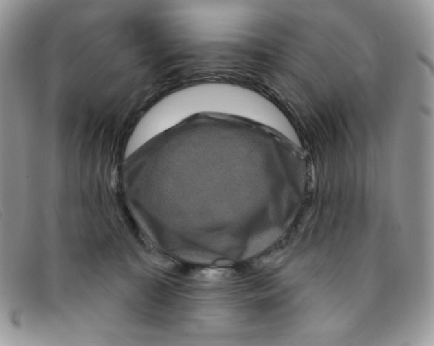 X0000095550323200801111459