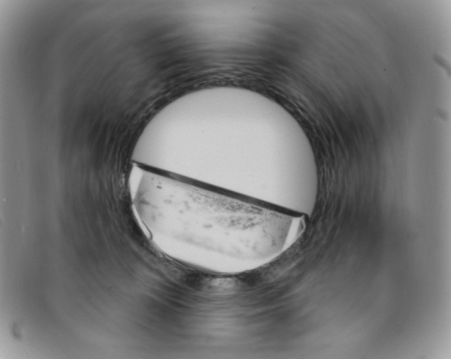 X0000095550324200801111459