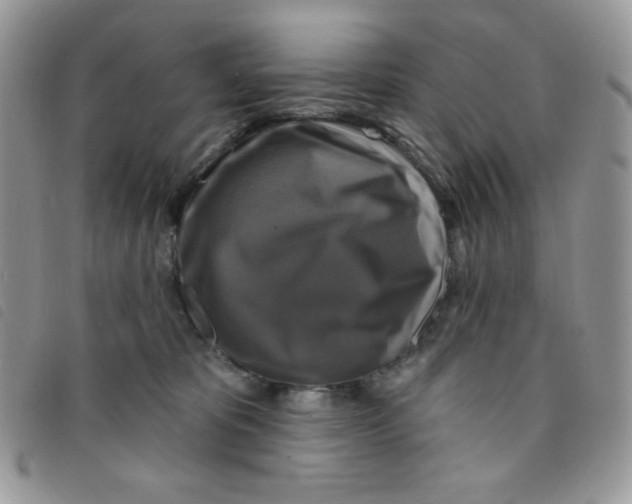 X0000095550325200801111459