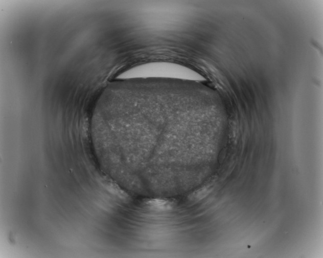 X0000095550326200801111459