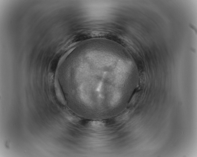 X0000095550327200801111459