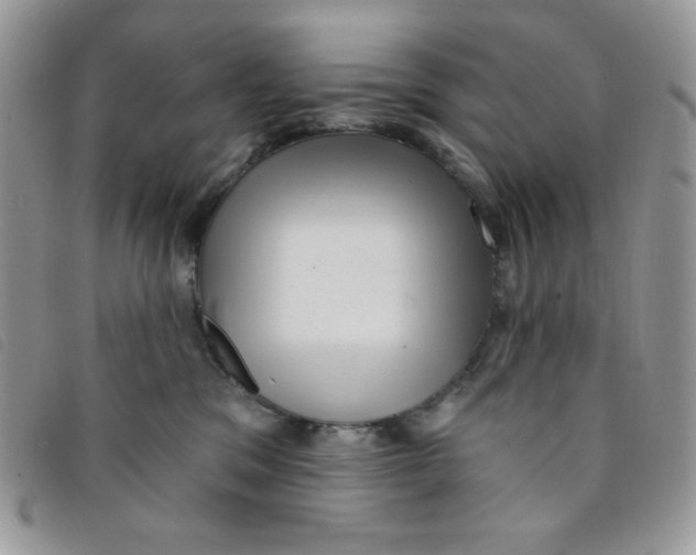 X0000095550329200801111459