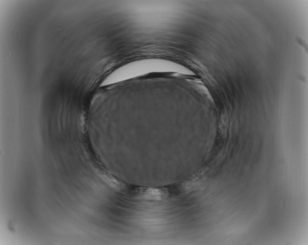 X0000095550330200801111459