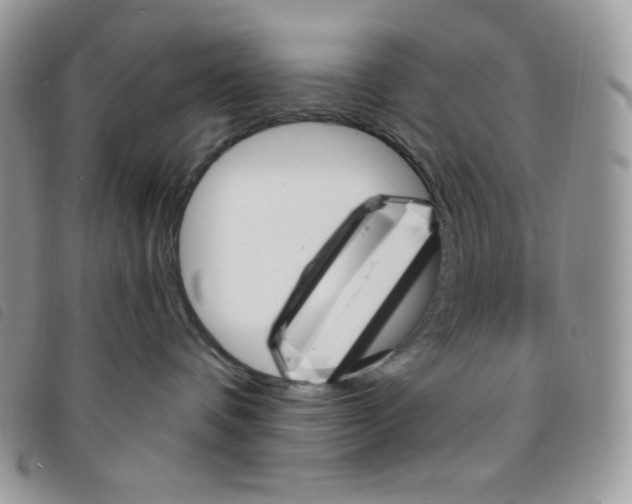 X0000095550336200801111459