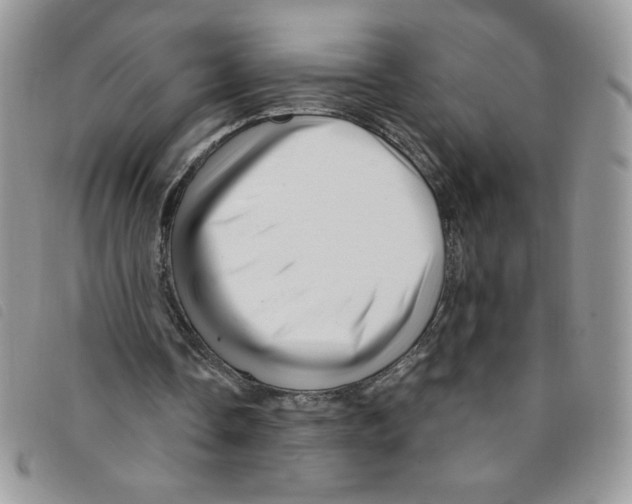 X0000095550338200801111458