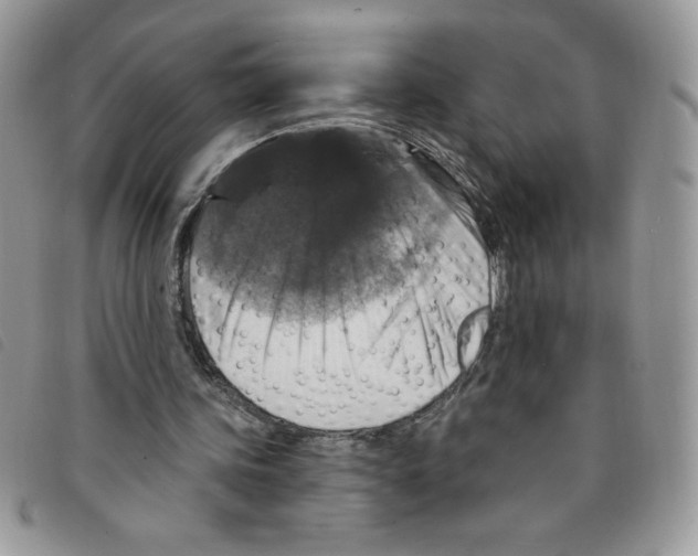 X0000095550339200801111458