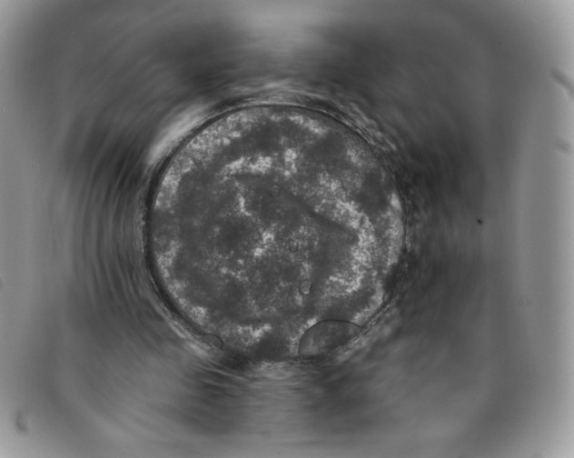 X0000095550341200801111458