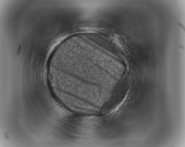 X0000095550342200801111458